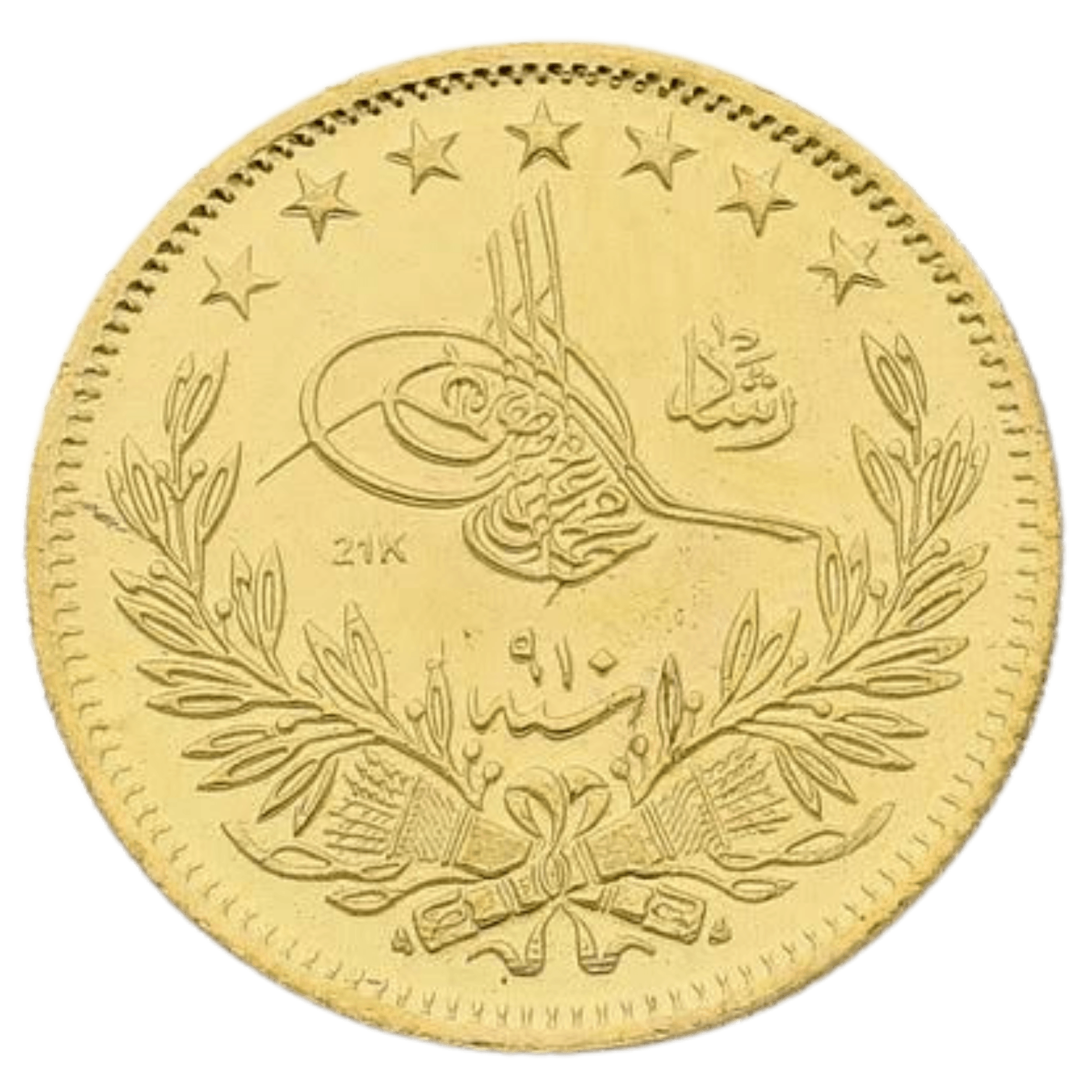 Gold Lira Coin