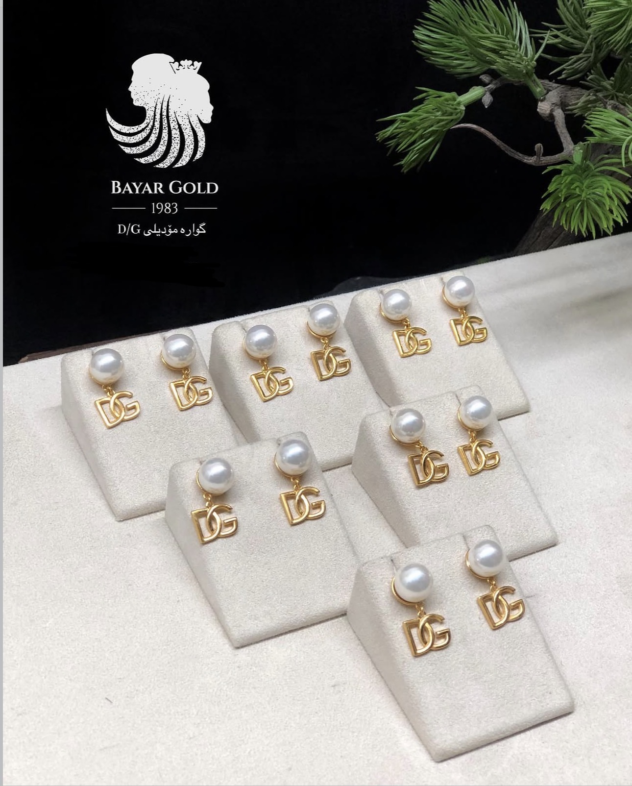 گوارەی DG - Bayar Gold Erbil