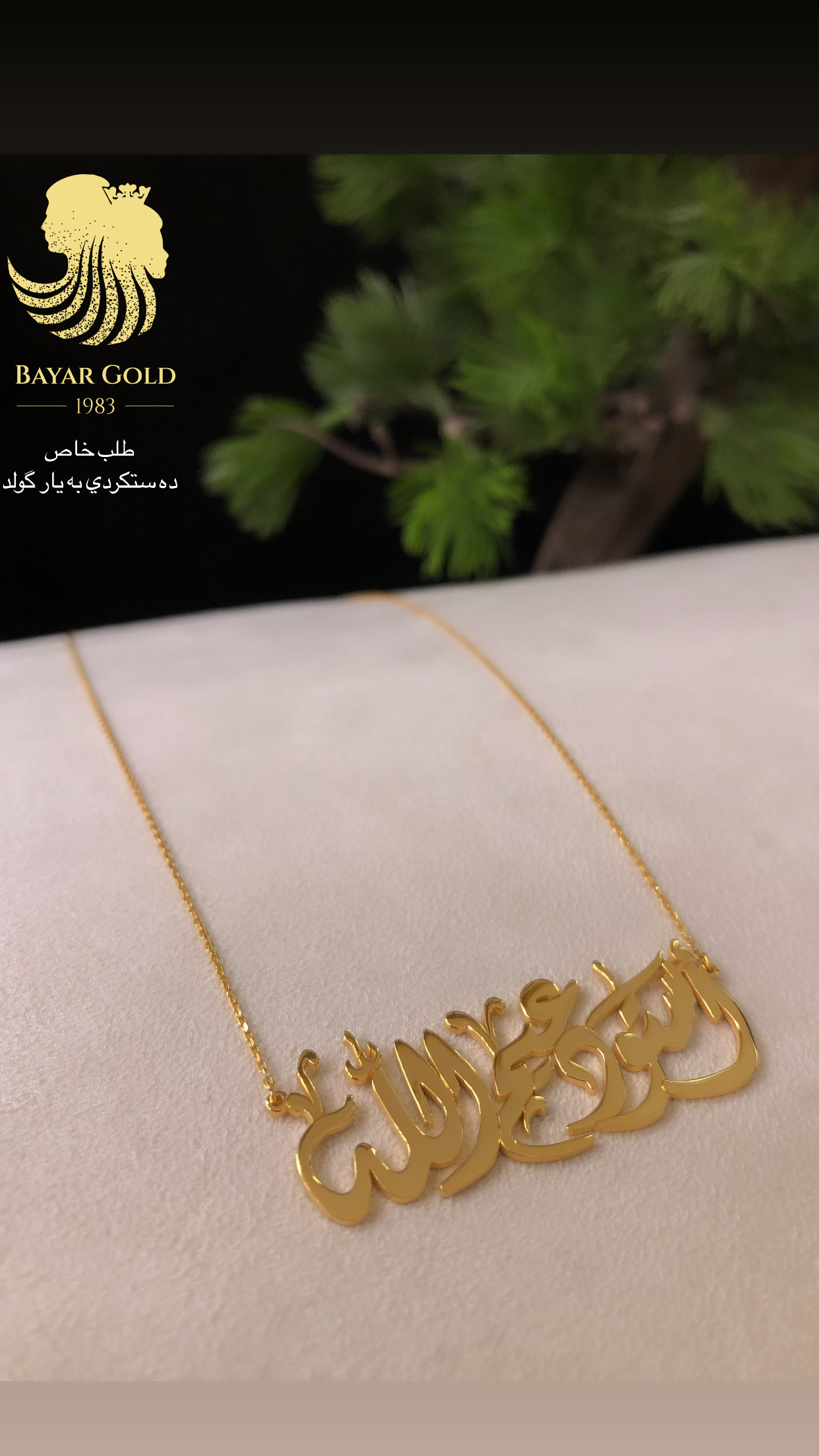 ملوانکەی ناو - Bayar Gold Erbil